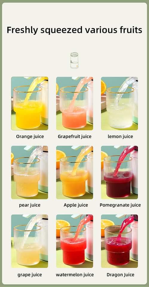 Rechargeable Portable Juicer